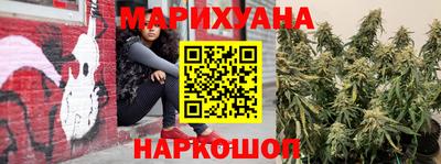 крисы Малгобек