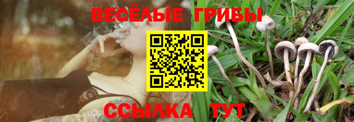 Галлюциногенные грибы MAGIC MUSHROOMS  Галлюциногенные грибы мицелий  Гусь-Хрустальный  Вход с VPN 